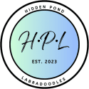 Hidden Pond Labradoodles LLC